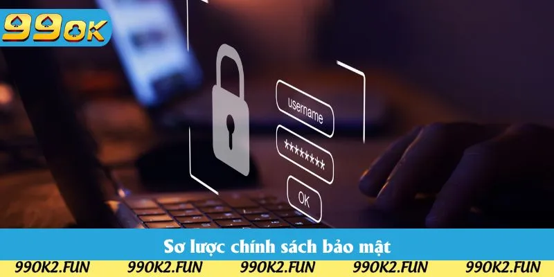 Sơ lược chính sách bảo mật Sơ lược chính sách bảo mật