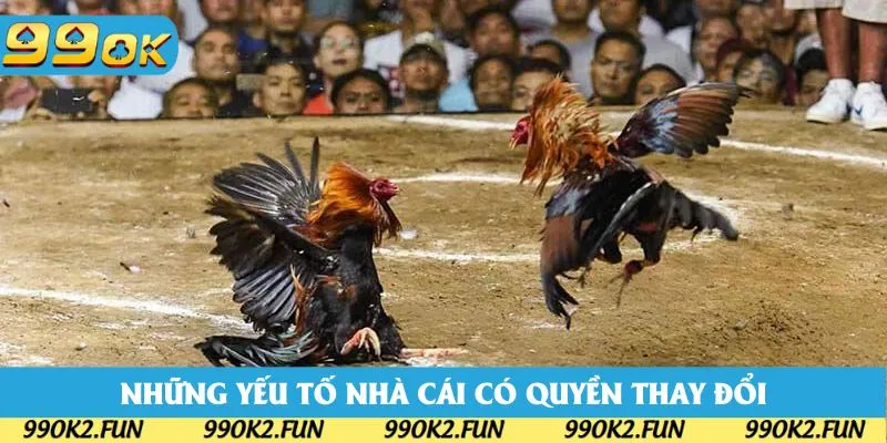 Những yếu tố nhà cái có quyền thay đổi trong luật đá gà Những yếu tố nhà cái có quyền thay đổi trong luật đá gà